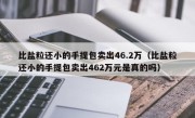 比盐粒还小的手提包卖出46.2万（比盐粒还小的手提包卖出462万元是真的吗）