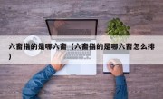 六畜指的是哪六畜（六畜指的是哪六畜怎么排）