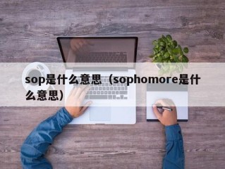 sop是什么意思（sophomore是什么意思）