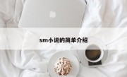 sm小说的简单介绍