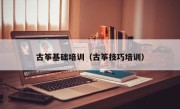 古筝基础培训（古筝技巧培训）