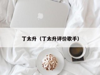 丁太升（丁太升评价歌手）