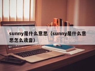 sunny是什么意思（sunny是什么意思怎么读音）