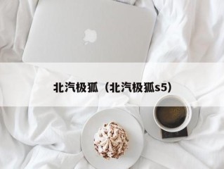 北汽极狐（北汽极狐s5）
