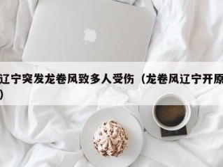 辽宁突发龙卷风致多人受伤（龙卷风辽宁开原）