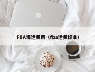 FBA海运费用（fba运费标准）