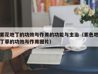 紫花地丁的功效与作用的功能与主治（紫色地丁草的功效与作用图片）