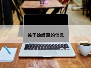 关于蛤蟆草的信息