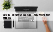 山东第一医科大学（山东第一医科大学第二附属医院）
