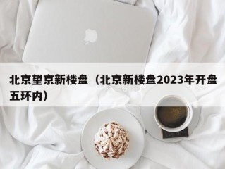 北京望京新楼盘（北京新楼盘2023年开盘五环内）
