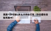 美国一孕妇被2岁儿子开枪打死（孕妇遭枪击胎死腹中）