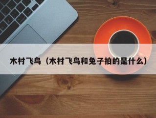 木村飞鸟（木村飞鸟和兔子拍的是什么）