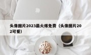 头像图片2023最火爆免费（头像图片202可爱）