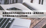 桑黄的功效与作用的功能与主治（桑黄的功效与作用的功能与主治桦树茸）