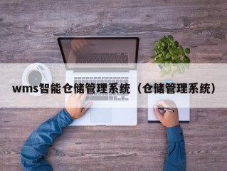 wms智能仓储管理系统（仓储管理系统）