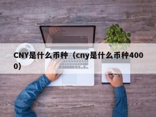 CNY是什么币种（cny是什么币种4000）