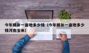 今年粮补一亩地多少钱（今年粮补一亩地多少钱河南玉米）