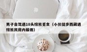 男子自驾遇18头棕熊觅食（小伙徒步西藏遇棕熊民房内躲雨）