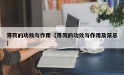 薄荷的功效与作用（薄荷的功效与作用及禁忌）