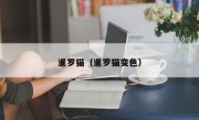 暹罗猫（暹罗猫变色）