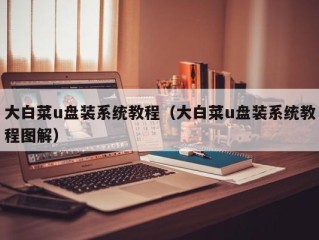 大白菜u盘装系统教程（大白菜u盘装系统教程图解）