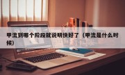甲流到哪个阶段就说明快好了（甲流是什么时候）