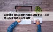 ip地址查询车前草的作用和功能主治（车前草的作用和功能主治痛风）