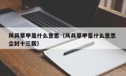 风兵草甲是什么意思（风兵草甲是什么意思 尘封十三载）