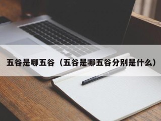 五谷是哪五谷（五谷是哪五谷分别是什么）