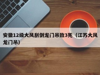 安徽12级大风刮倒龙门吊致3死（江苏大风龙门吊）