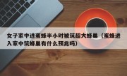 女子家中进蜜蜂半小时被筑超大蜂巢（蜜蜂进入家中筑蜂巢有什么预兆吗）