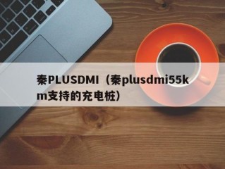 秦PLUSDMI（秦plusdmi55km支持的充电桩）