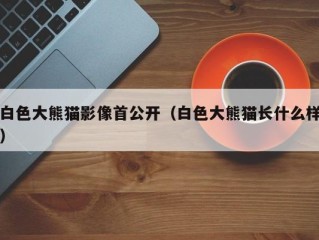 白色大熊猫影像首公开（白色大熊猫长什么样）