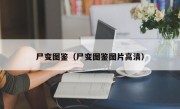 尸变图鉴（尸变图鉴图片高清）