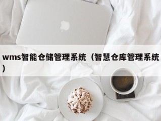 wms智能仓储管理系统（智慧仓库管理系统）