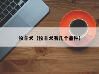 牧羊犬（牧羊犬有几个品种）