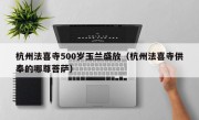 杭州法喜寺500岁玉兰盛放（杭州法喜寺供奉的哪尊菩萨）