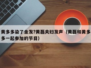 黄多多染了金发?黄磊夫妇发声（黄磊和黄多多一起参加的节目）