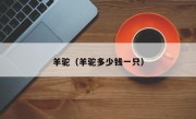 羊驼（羊驼多少钱一只）