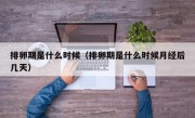 排卵期是什么时候（排卵期是什么时候月经后几天）