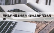 茶树上的树花怎样去除（茶树上有树花怎么处理）