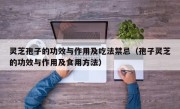 灵芝孢子的功效与作用及吃法禁忌（孢子灵芝的功效与作用及食用方法）