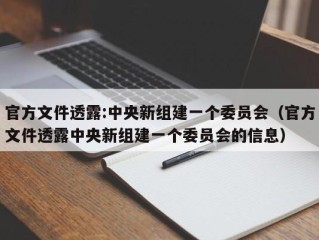 官方文件透露:中央新组建一个委员会（官方文件透露中央新组建一个委员会的信息）