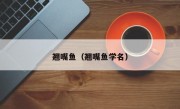 翘嘴鱼（翘嘴鱼学名）