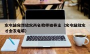 水电站突然放水两名教师被卷走（水电站放水才会发电嘛）