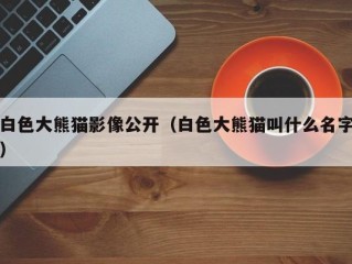 白色大熊猫影像公开（白色大熊猫叫什么名字）