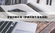 梦里的那片海（梦里的那片海电视剧）