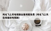 鸡毛飞上天电视剧全集观看免费（鸡毛飞上天在线播放电视剧）