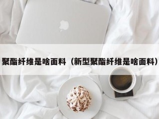 聚酯纤维是啥面料（新型聚酯纤维是啥面料）