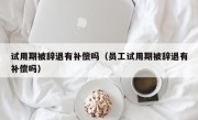 试用期被辞退有补偿吗（员工试用期被辞退有补偿吗）